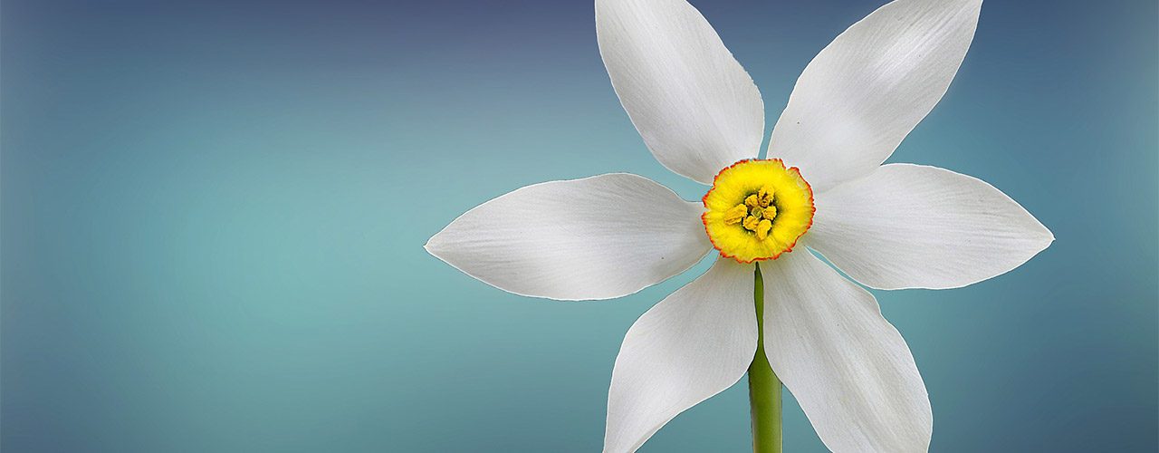 okemos-lansing-family-dentistry1280x500 okemos-lansing-family-dentistry1280x500
